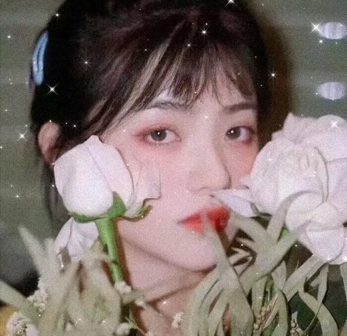 新你所不知道的世界